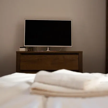 Viking Grigo Appart hôtel Cluj-Napoca