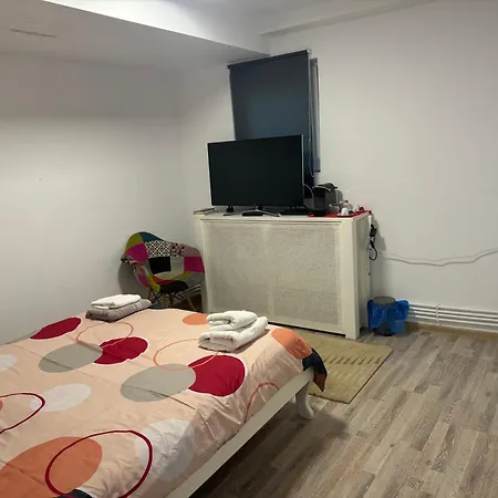 Viking Grigo Cluj-Napoca