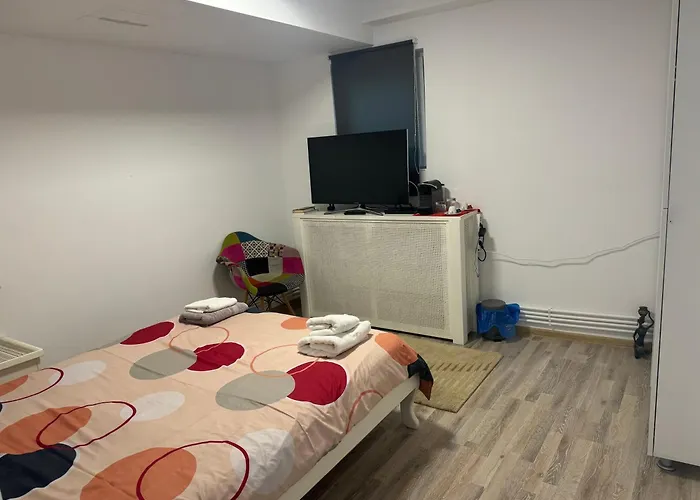 Viking Grigo Cluj-Napoca